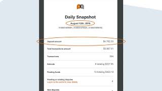 Reading your Payanywhere Daily Snapshot emails No Holds [upl. by Elliott]