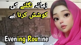 Pakistani middle class Evening Routine  Pakistani Housewife lifestyle  Daily vlog Pakvlog000 [upl. by Aurel]