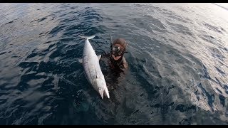 Spearfishing The West Coast [upl. by Edouard]