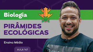 Pirâmides ecológicas​  Biologia  Ensino Médio [upl. by Charlet41]