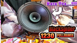 Speaker 1230 Fullrange Suaranya Kaya TOA [upl. by Thapa16]