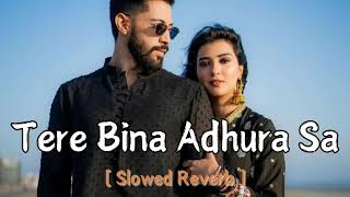 Tere Bina Adhura Sa Slowed Reverb Song  Love mashup song  MUSIC ADDA  new release song [upl. by Whitman]