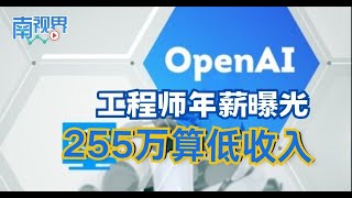 【南视界】OpenAI工程师年薪曝光 255万算低收入 [upl. by Drofkcor]