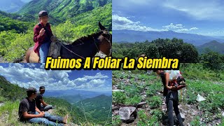 Nos Fuimos Al CERRO A Foliar LA SIEMBRA  VIDA EN LA SIERRA [upl. by Otreblanauj]