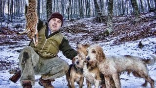 HUNTING THE MOUNTAIN HARE TRAILER  wwwreivaxfilmscom [upl. by Aicitel]