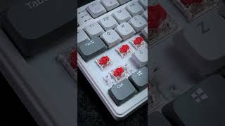 Royal Kludge RK N80 LowProfile Keyboard Sound Test [upl. by Crandale]