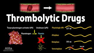 Pharmacology Thrombolytic Fibrinolytic Drugs Animation [upl. by Misti]