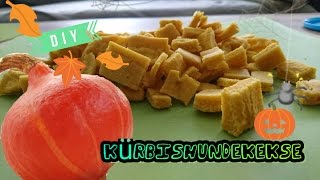 Kürbishundekekse  Hundeleckerlies  DIY [upl. by Stiruc231]