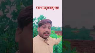 Agadam bagadam kamleshcomedy comedyfilms funny comedymovies song kamleshcomedynew [upl. by Norrehs157]