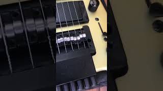 Guitarra Steinberger Spirit GT Pro [upl. by Hillegass757]