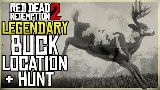 WHERE TO FIND THE LEGENDARY BUCK LOCATION  HUNT  RED DEAD REDEMPTION 2 [upl. by Akinnej]