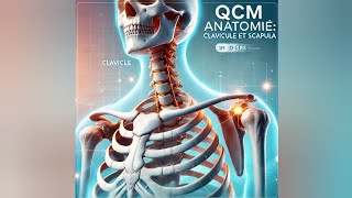 QCM  ANATOMIE  la clavicule et la scapula [upl. by Kuebbing]