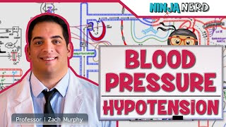 Cardiovascular  Blood Pressure Regulation  Hypotension [upl. by Arty]