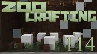 Nests and Eggs 🐘 Zoo Crafting Episode 114 [upl. by Eras]