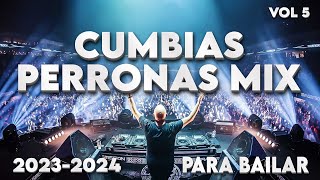 CUMBIAS PARA BAILAR💃🕺VOL 5❗️CUMBIAS PERRONAS MIX 2023  2024 [upl. by Adas293]