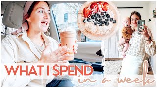 WEEKLY VLOG How much I spend in a week as a Mennonite mom of 3  Cost of living in Lancaster Co PA [upl. by Suertemed]