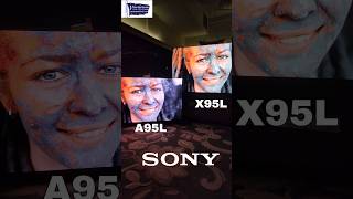 SONY A95L VS X95L QDOLED MASTER SERIES VS MINILED FLAGSHIP A95L X95L SONY [upl. by Annayad]