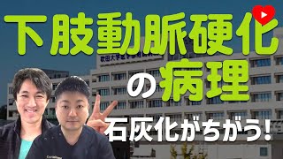 【末梢血管】組織をみると、石灰化パターンが全然チガウ！ [upl. by Notniuqal392]