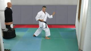 Karate  Rotation des hanches en Gyaku Hanmi karateblognet [upl. by Stclair]