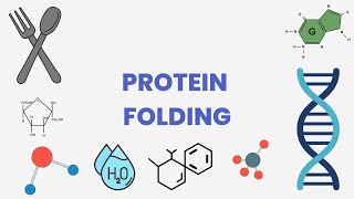 Protein Folding [upl. by Mcmullan680]