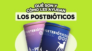 Diarreas💩 Trastornos digestivos en mascotas ¡Te contamos cómo ayudarles a mejorar [upl. by Ainot]