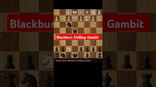 Blackburn shilling gambit chess trap tricks puzzle shorts trending [upl. by Maltz]