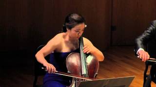 Tomaso AlbinoniAdagio for 12cellos [upl. by Sokim]