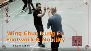 Wing Chun Footwork amp Mobility Rotterdam Alphen aan den Rijn Delft Waddinxveen [upl. by Kaylee]