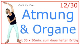 1230 🍓30 min Atmung amp Organe  mehr Sauerstoff und Wohlbefinden  ohne Geräte [upl. by Tyre]