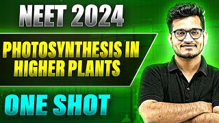 PHOTOSYNTHESIS IN HIGHER PLANTS in 1 Shot FULL CHAPTER COVERAGE TheoryPYQs  Prachand NEET [upl. by Navad]