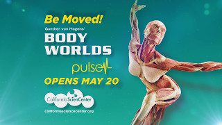 Body Worlds PULSE Opens May 20th [upl. by Aidnama]