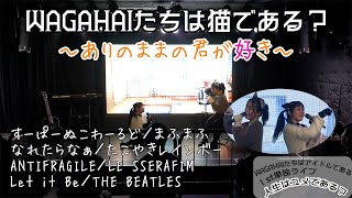 劇コーナー『WAGAHAIたちは猫である？～ありのままの君が好き～』from「１st単独ライブ－人生はユメである？ー」 [upl. by Raimundo591]