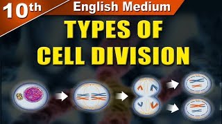 Class10  SSC  Types of Cell Division  Science 2  Maharashtra Board  Home Revise [upl. by Charlotta]