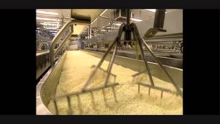 HOW ITS MADE  Mozzerella Cheese UK Version [upl. by Ahsinoj]