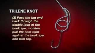 How To Tie A Berkley Trilene Knot In 3 Easy Steps [upl. by Vonni]