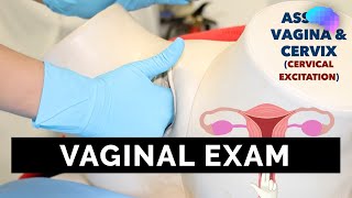 Vaginal Examination PV  OSCE Guide  UKMLA  CPSA [upl. by Eric]