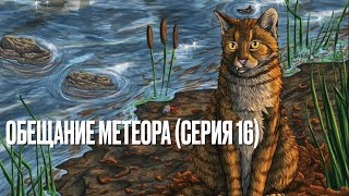 Аудиокнига КОТЫВОИТЕЛИ« Обещание Метеора»«Прозрение» Серия 16 [upl. by Airehc939]