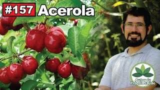 Autor da própria Saúde  Acerola diabetes obesidade melasma sistema imunológico [upl. by Mehalek]