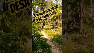 Downhill Polygon xtrada 30 vs xtrada 5 [upl. by Artinek]