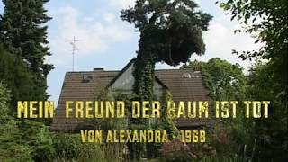 MEIN FREUND DER BAUM IST TOT von ALEXANDRA 1968 [upl. by Whitaker]