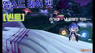 Elsword KR엘소드레어 펫 빈트 스킬 및 패시브 [upl. by Bevus570]