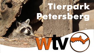 Tierpark Petersberg  ein Film von Anton  WTV [upl. by Patterman]