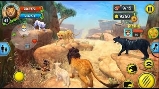 ► Wild Lion The King Of The Jungle  Lion Family Sim Online Area730 Simulator Games Gameplay video [upl. by Yonina]