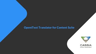 OpenText Translator Product Demo [upl. by Yanrahs259]