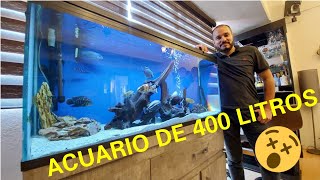 ALEJO Y SU ACUARIO COMUNITARIO DE CICLIDOS AFRICANOS Y AMERICANOS [upl. by Rexferd382]