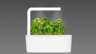 Basil Timelapse Click amp Grow Smart Herb Garden [upl. by Nylinej]