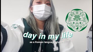 a day in my life as an ewha korean language center student ft yonsei sinchon friends amp bed hair [upl. by Atteniuq]