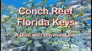 Dave and Ron dive Conch Reef Florida Keys [upl. by Nabroc]