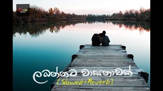 Labannata Wasanawak Slowed amp Reverb song kassa music slowedreverb [upl. by Akoek]