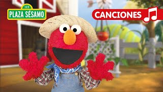 Plaza Sésamo El musical de Elmo ¡Tomate el musical [upl. by Aitnwahs]